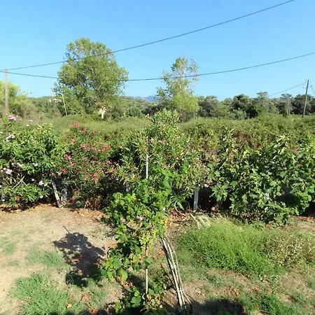 Appartement Katomeris House Roda (Corfu)