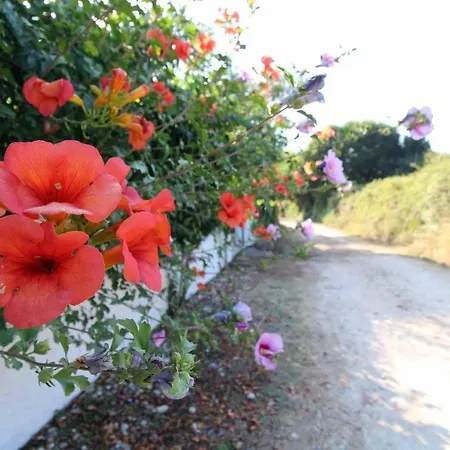 Katomeris House Appartement Roda (Corfu)