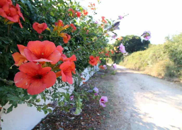 Katomeris House Appartamento Roda (Corfu)