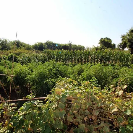 Katomeris House * Rodas